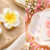Cutie Pop Clip Duo - Floral White & Bow